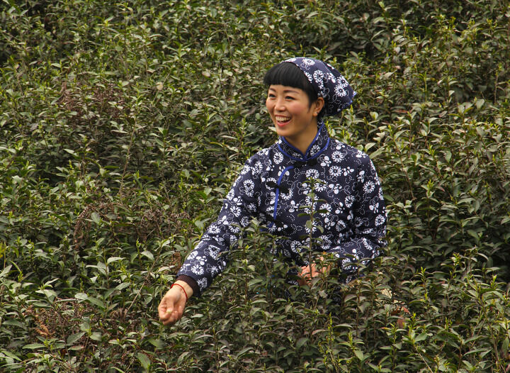 254网主播 霓虹下的人